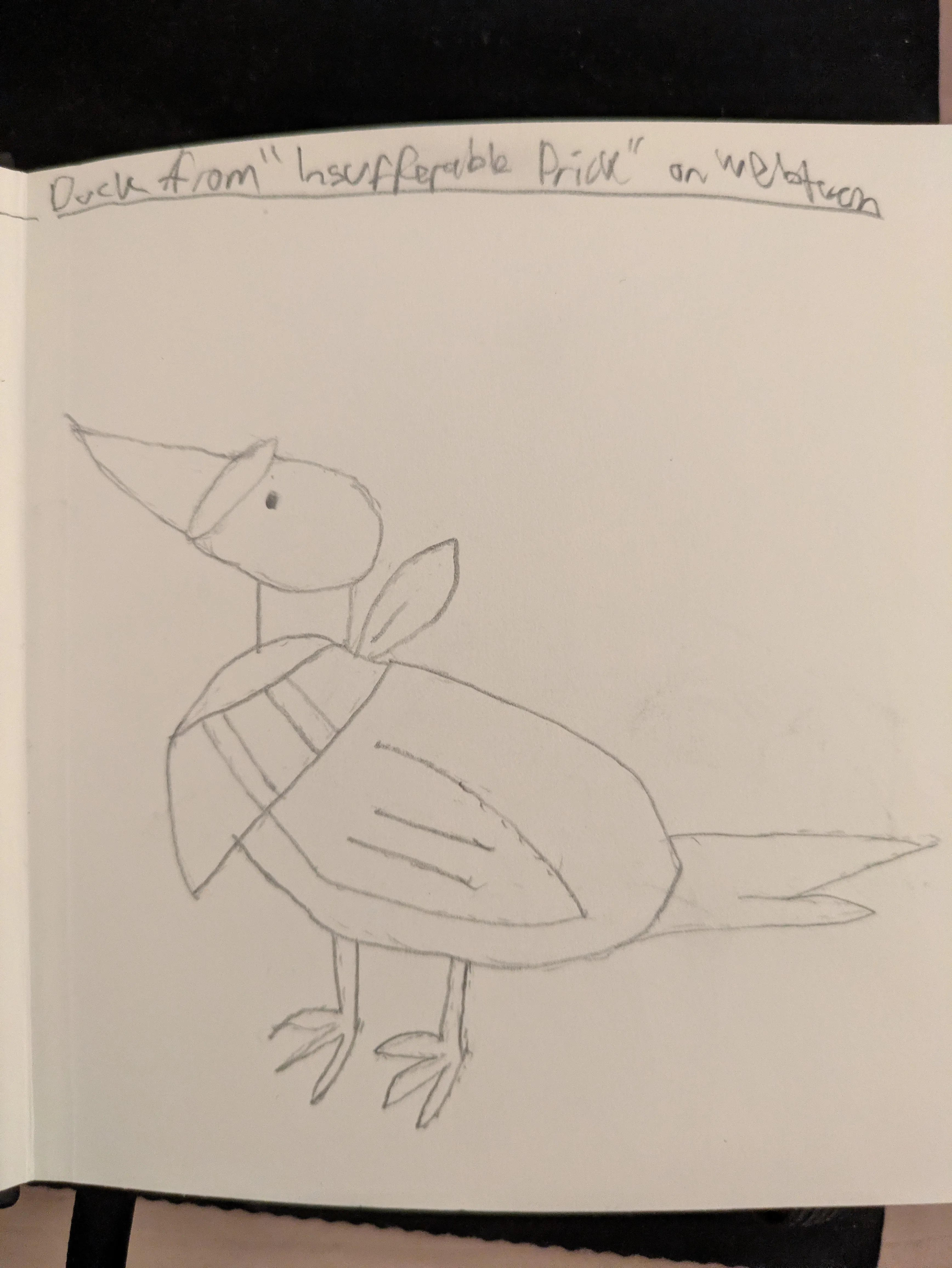 Duck artwork